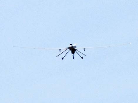 MQ-1 Predator