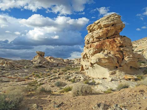 Gold Butte National Monument