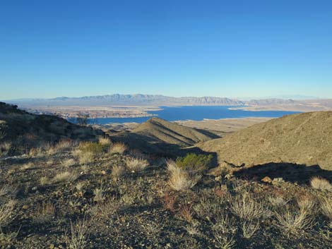 Gold Butte National Monument