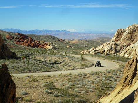 Gold Butte National Monument