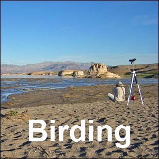 Lake Mead National Recreation Area