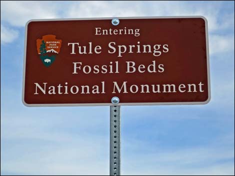 Fossil Beds