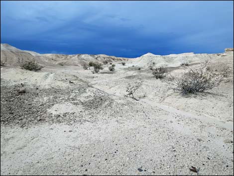 Fossil Beds