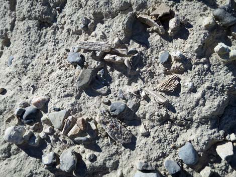Tule Springs