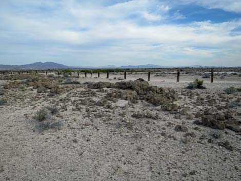 Tule Springs