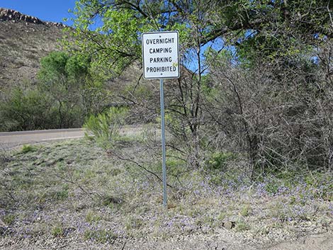Patagonia Roadside Rest Area