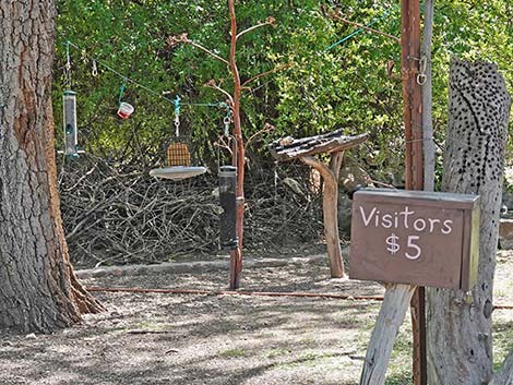 Cave Creek Ranch