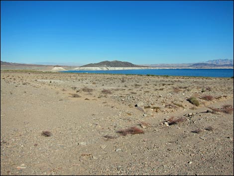 Boulder Beach