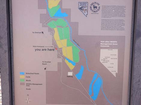 Overton Wildlife Management Area