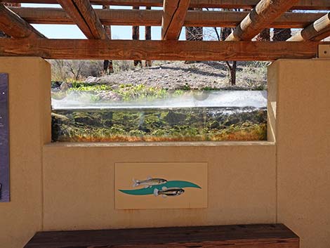 Moapa Valley National Wildlife Refuge