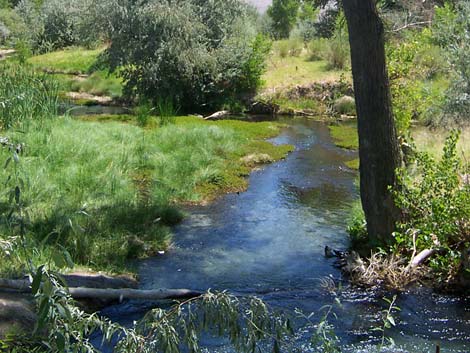Crystal Springs
