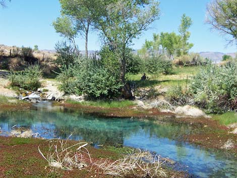 Crystal Springs
