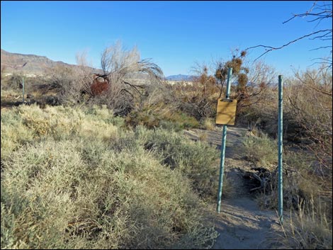 Shoshone Aqua Birding Trail