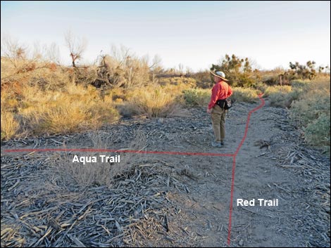  Shoshone Aqua Birding Trail