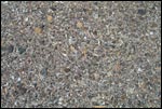 Desert Pavement - Medium