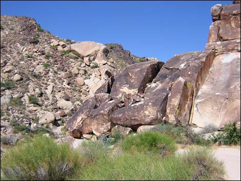 grapevine canyon