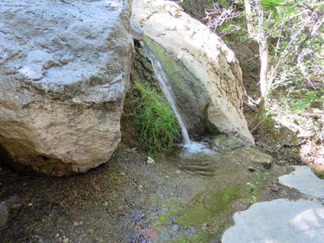 Rainbow Canyon
