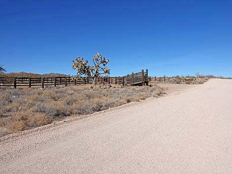Grasslands Trail