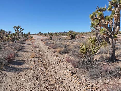 Grasslands Trail
