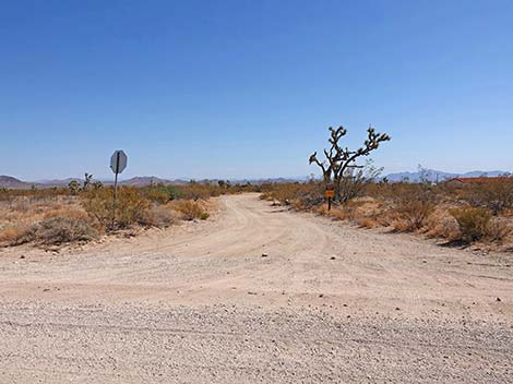 Walking Box Ranch Road