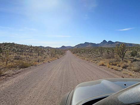 Walking Box Ranch Road