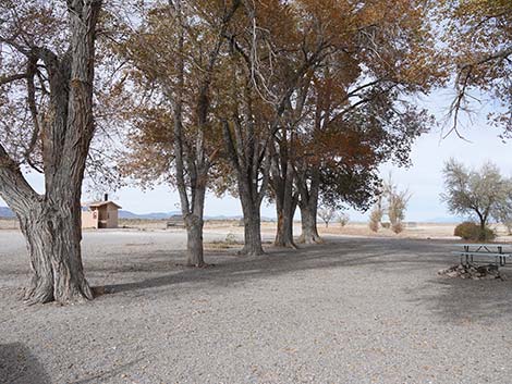 Dave Deacon Campground