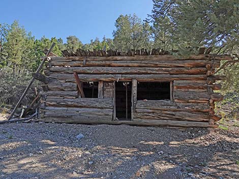 Rosie's Mining Cabin