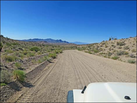 Badger Valley Road