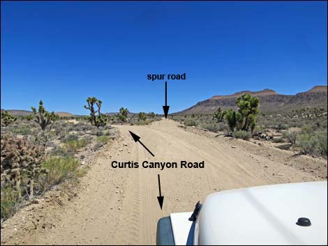 Curtis Canyon Road
