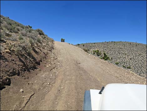 Curtis Canyon Road