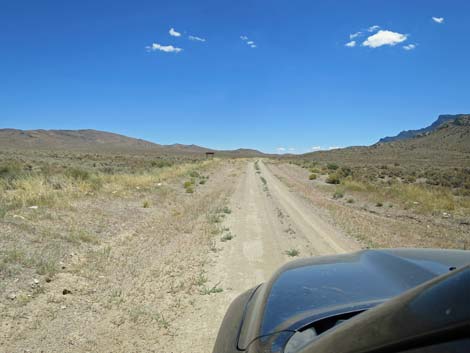 Timber Pass Road