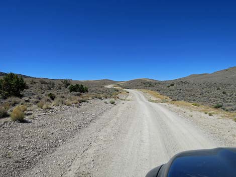 Timber Pass Road