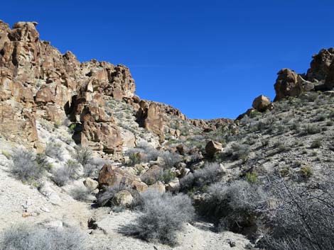 Valley of Faces