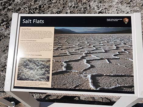 Badwater Salt Flat Trail