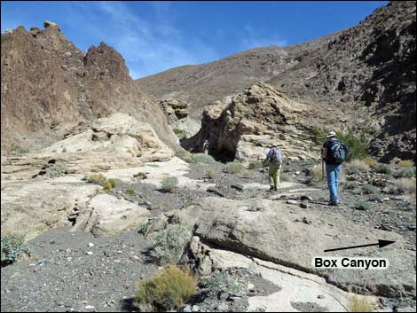 Black Point Canyon
