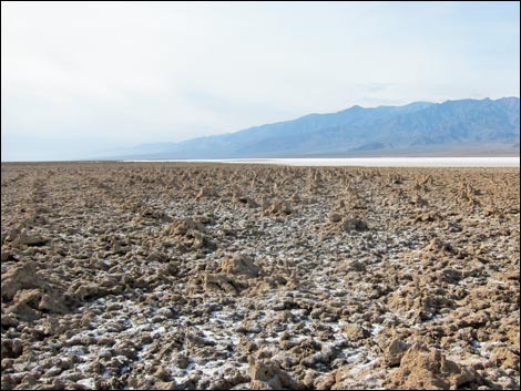 Harmony Salt Flats