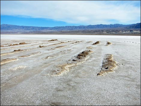 Harmony Salt Flats