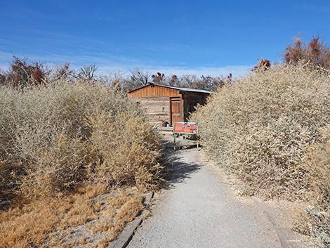 Coyote Trail