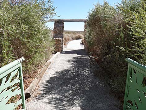 Jackrabbit Loop Trail