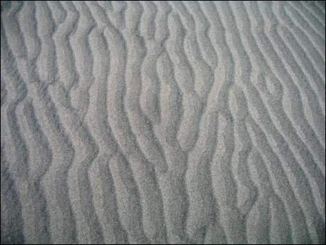 Desert Dry Lake Dunes North