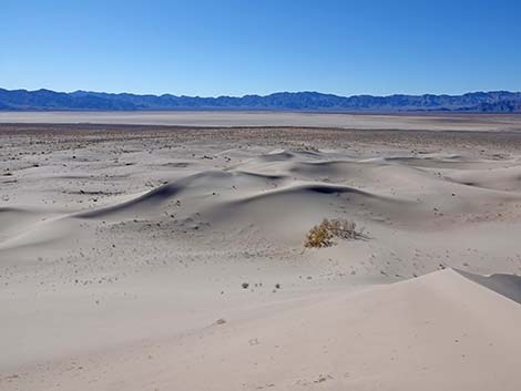 Desert Dry Lake Dunes