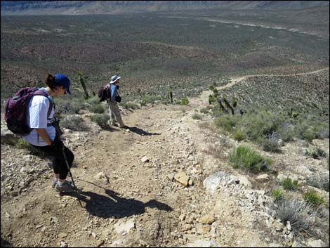 Gass Peak