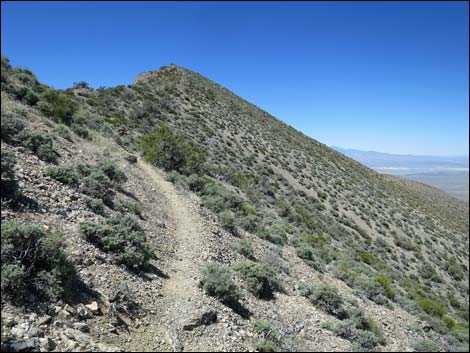 Gass Peak