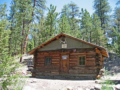 Hidden Forest Cabin