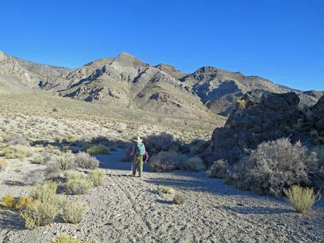 Joe May Canyon Guzzler