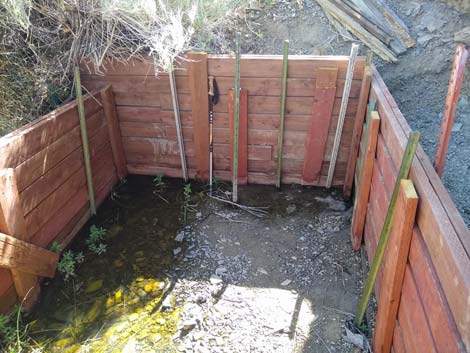 Mormon Well
