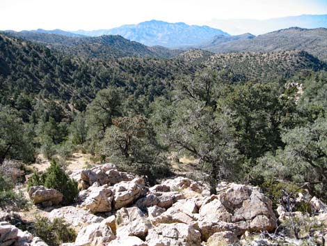 Quartzite Mountain