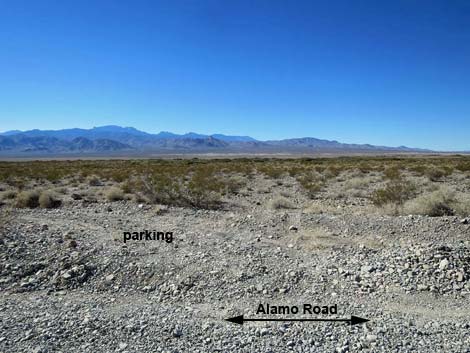 Alamo Road