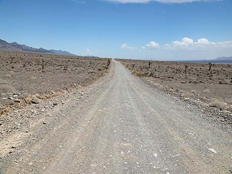 Alamo Road