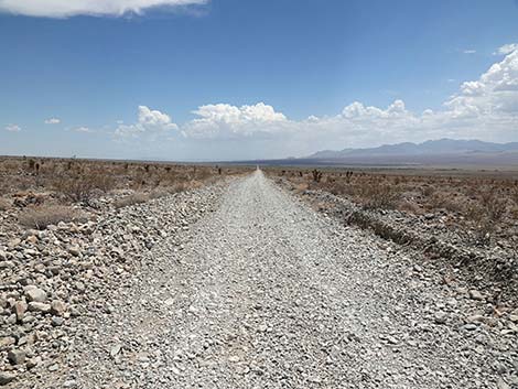 Alamo Road